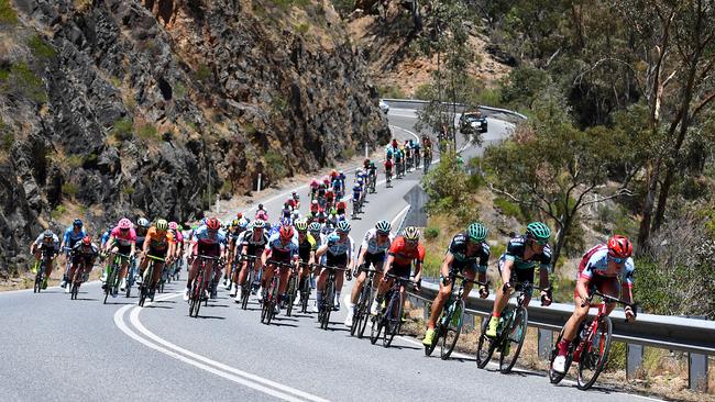 The Tour Down Under peloton during Stage Four in the Adelaide Hills on Friday. Picture: AAP Image/Dan Peled