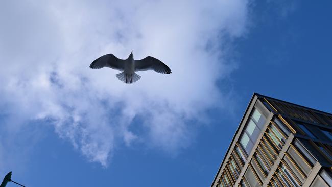 Twitter offices in Dublin, where losing a job over email is unheard of. Picture: Getty Images