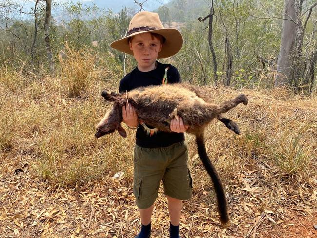 Matty Faulkner cradling a dead brush-tailed rock wallaby. Aussie Ark is helping wildlife after the fires.