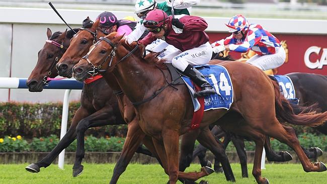 Vienna Queen has plenty of admirers heading into the 1300 Go Broncos Handicap at Eagle Farm.