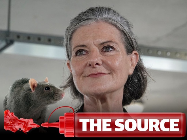 Are there rats in the ranks?