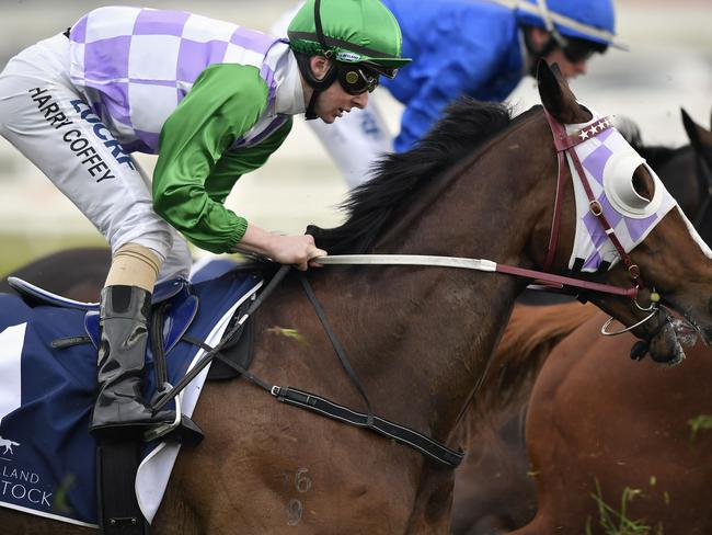 More than 5000 punters have backed Katelyn Mallyon on Assign — partly the result of Michelle Payne’s history making win last year. Picture: Andy Brownbill