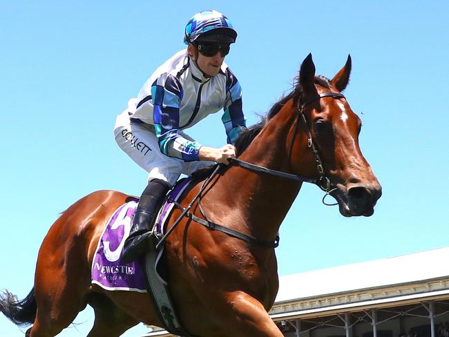 NEWCASTLE, AUSTRALIA - NOVEMBER 18:  Jason Collett riding Erno's Cube wins Race 1 NZB Airfreight Max Lees Classic during Sydney Racing ( The Hunter ) at Newcastle Racecourse on November 18, 2023 in Newcastle, Australia. (Photo by Jeremy Ng/Getty Images)