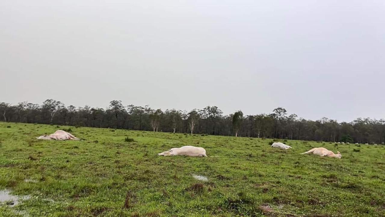 Flash flooding, lightning strikes and trees down are just some of the carnage left behind in the wake of a day of severe storms across Queensland. Picture: Aaron Broom, Fraser Coast.