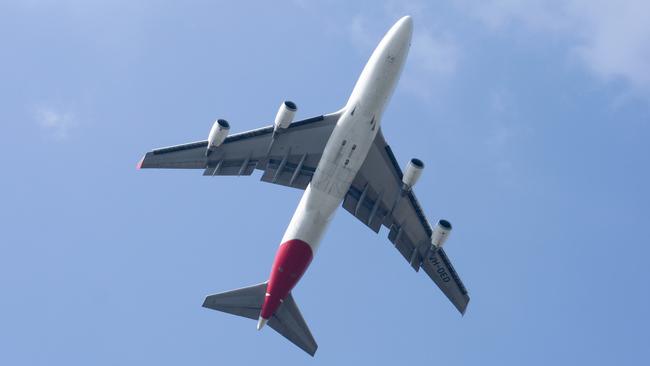 Three animals were left stranded at Darwin International Airport on Wednesday after baggage handlers failed to load them onto a Qantas flight to Sydney.