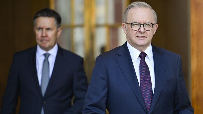 Health Minister Mark Butler and Prime Minister Anthony Albanese. Picture: NewsWire / Martin Ollman