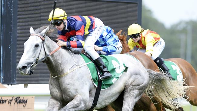 His Majesty looks a great chance at good odds on Saturday. Picture: Peter Clark