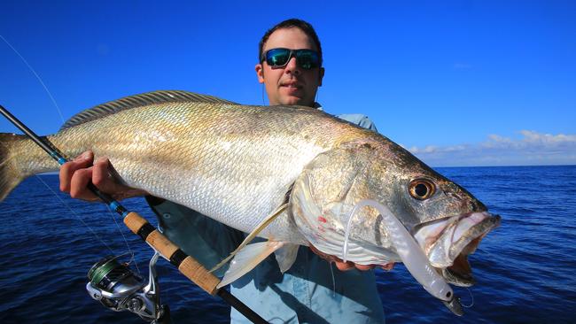 Al McGlashan fishes the Sydney headlands and inshore reefs for a big ...