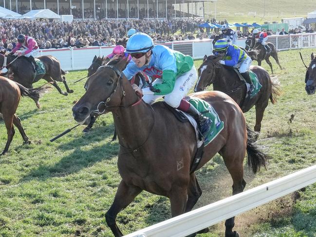 Tuvalu ridden by Fred Kersley wins the The Midfield Group Wangoom Handicap at Warrnambool Racecourse on May 01, 2024 in Warrnambool, Australia. (Photo by George Sal/Racing Photos via Getty Images)