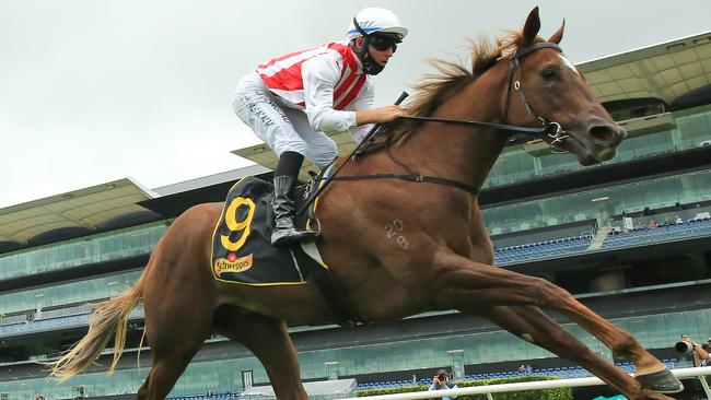 Four Moves Ahead was a big firmer in Golden Slipper betting after her win at Randwick. Picture: Getty Images