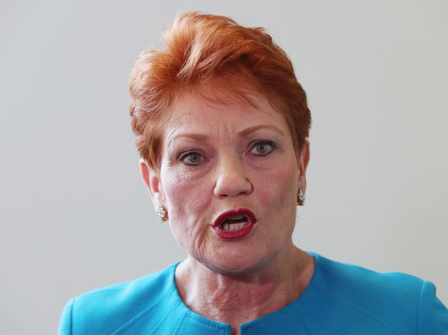 Senator Pauline Hanson at Parliament House in Canberra.