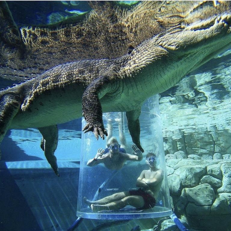 Cage of Death experience at Darwin's Crocosaurus Cove in the Northern Territory. Picture: Crocosaurus Cove Instagram