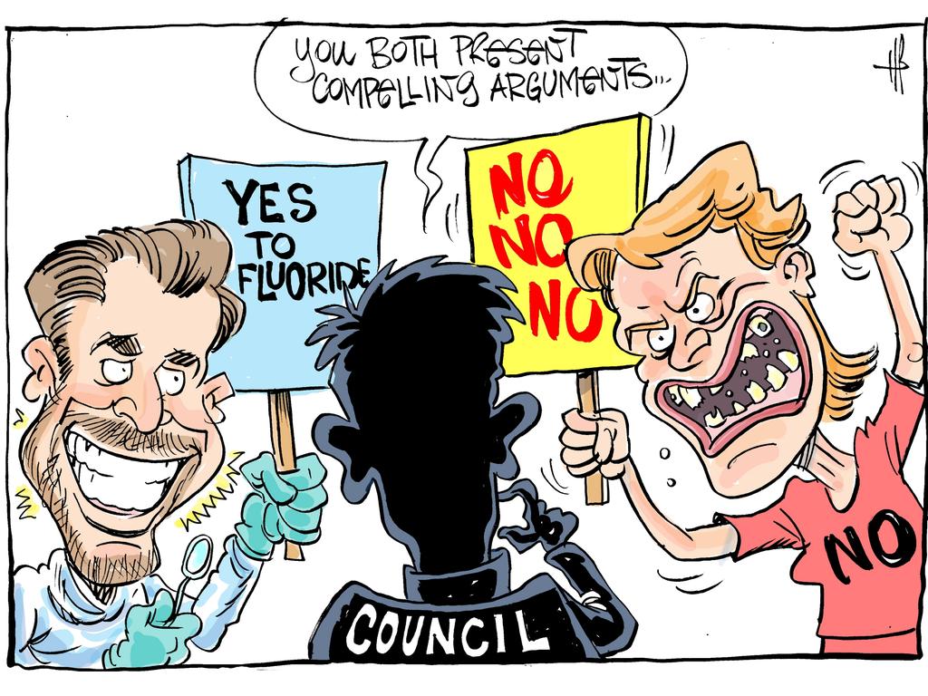 Cartoonist Harry Bruce's take on the fluoride debate.