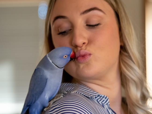 Tik Tok influencer Bridget Chant of Toowoomba is in the top 20. At home with 4yr old Indian Ringback parrot. 25th August 2022, pic David Martinelli