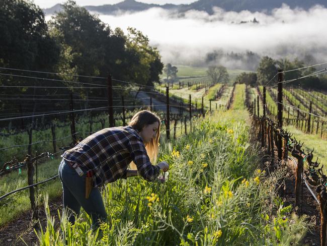 SingleThread Farms, Healdsburg, California Image supplied Photo credit: Jason Jaacks