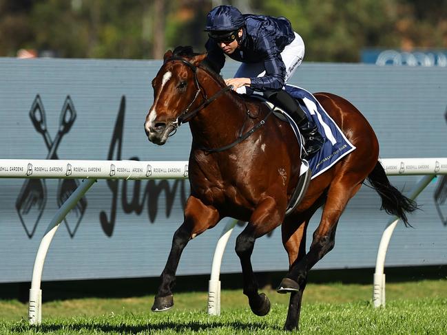 SYDNEY, AUSTRALIA - AUGUST 31: Adam Hyeronimus riding Storm Boy wins Race 6 Smithfield RSL San Domenico Stakes during Sydney Racing at Rosehill Gardens on August 31, 2024 in Sydney, Australia. (Photo by Jeremy Ng/Getty Images)