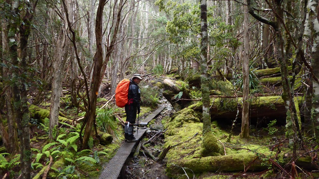 Overland shop track tour