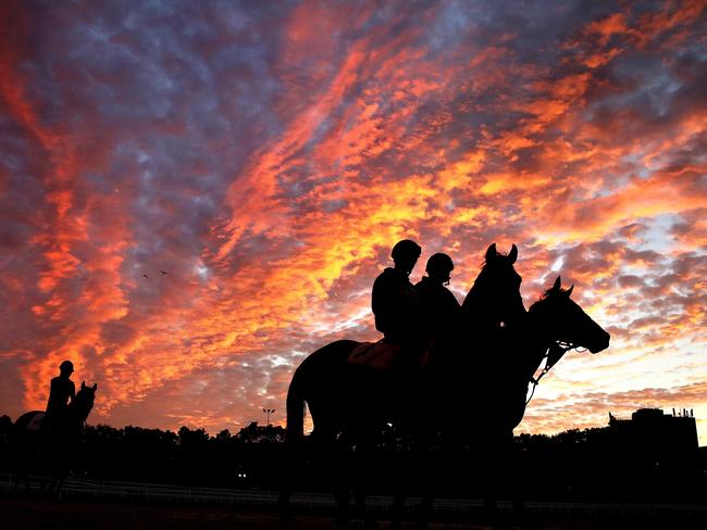 Trackwork at Randwick Racecourse ahead of the TAB Everest. Picture: Phil Hillyard