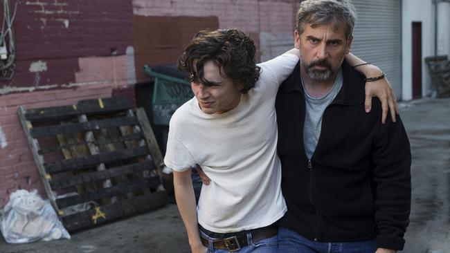 Timothee Chalamet as Nic Sheff and Steve Carell as David Scheff.