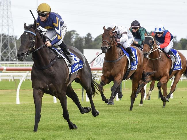 Bindi's Choice is Shayne O'Cass's best value bet at Hawkesbury on Tuesday. Picture: Bradley Photos