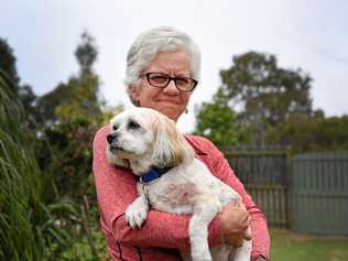 TERRIFYING: Jen Howson with her seven-year-old Maltese cross shih tzu Murphy, who was attacked by two Irish Wolfhounds in a Point Vernon park on Tuesday. Picture: Cody Fox