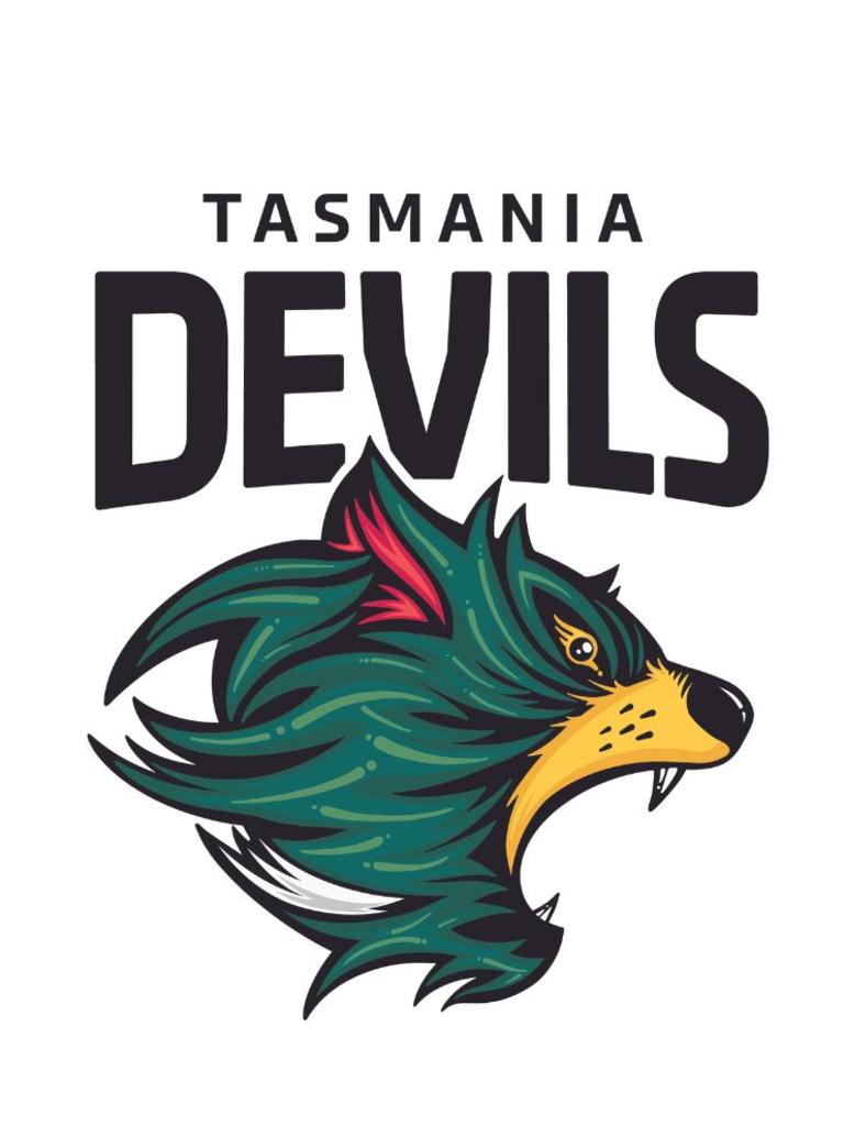 AFL: Tasmania Football Club officially launched | The Mercury