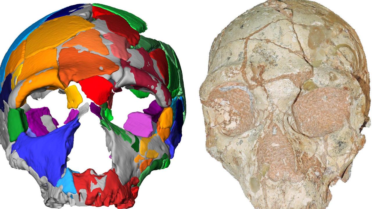 This handout picture released shows a reconstruction and computer model of part of a skull named Apidima 2, discovered in a Greek cave. Picture: AFP