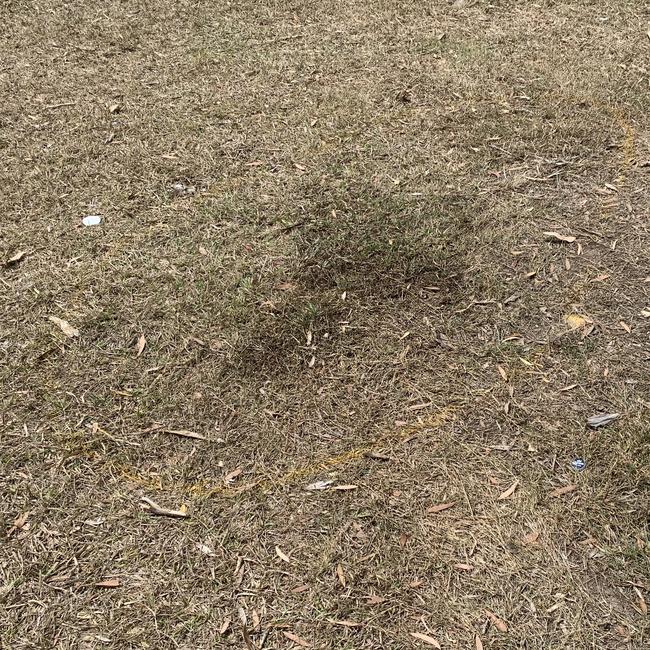 A dark patch of bloodstained grass with a yellow outline can be seen on the ground mere metres away from the building in question.