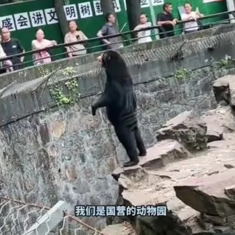 PETA said it’s ‘sad to see the amusement this footage has provoked’. Picture: Twitter