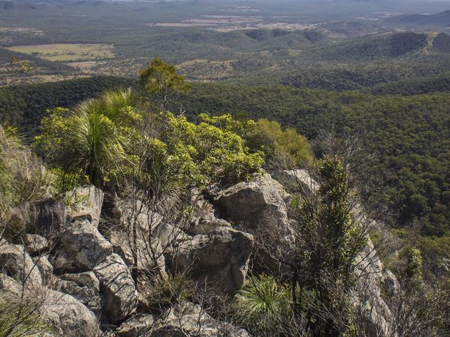 TOP VIEW: The summit of Mount Larcom.Photo Christopher Chan / The Observer