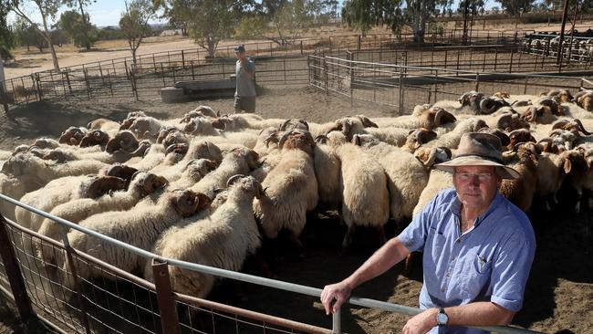 National Farmers’ Federation workplace committee chair Tony York says small farms could be “steamrolled” by larger competitors under proposed changes to workplace laws. Picture: Colin Murty