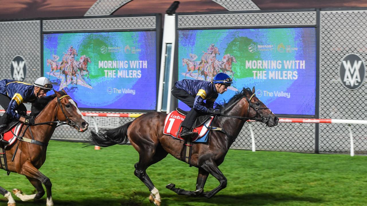 23 of 24 horses passed fit to start in the Melbourne Cup The Courier Mail