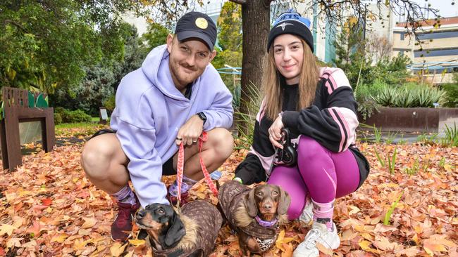 Million Paws Walk at Adelaide Botanic Gardens. Picture: Brenton Edwards