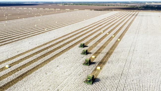 Look to the future: The Budget delivered $115 million to help diversify export markets and make farms more energy-efficient and resilient in the face of climate change.