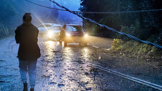 Downed power lines across Mt Dandenong Tourist Rd. Picture: David Geraghty