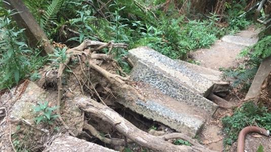 The storm uprooted concrete steps along the track. Picture: Parks Victoria