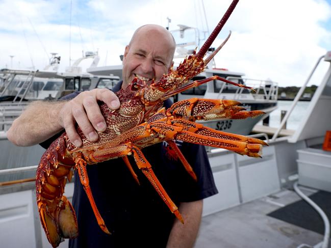 05/10/2017 Paul Regnier, professional Rock lobster fisherman on his boat at the marina in Robe with a Southern Rock Lobster at the start of the Southern Zone Rock Lobster season. Kelly Barnes/The Australian