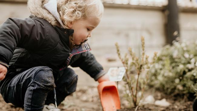 Hands-on’: How kids are learning about bush tucker