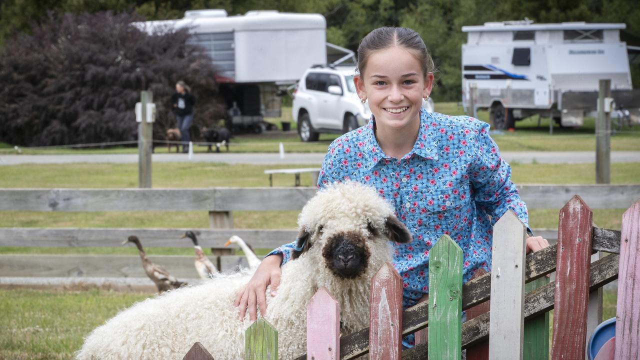 Harper Magarey 12 with Sassafras the sheep in the Huon Valley Caravan Park farming display area. Picture: Chris Kidd