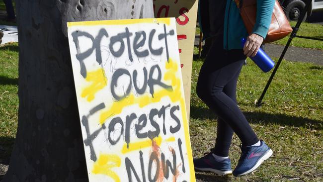 Anti-logging protesters rally outside the Forestry Corporation building in Coffs Harbour.