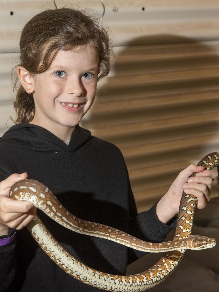 Annabelle Watson with Nutella the Bredli python. Cobb+Co Museum Easter school holiday program Wildlife Rangers with Wildcall Wildlife Shows. Monday, April 4, 2022. Picture: Nev Madsen.