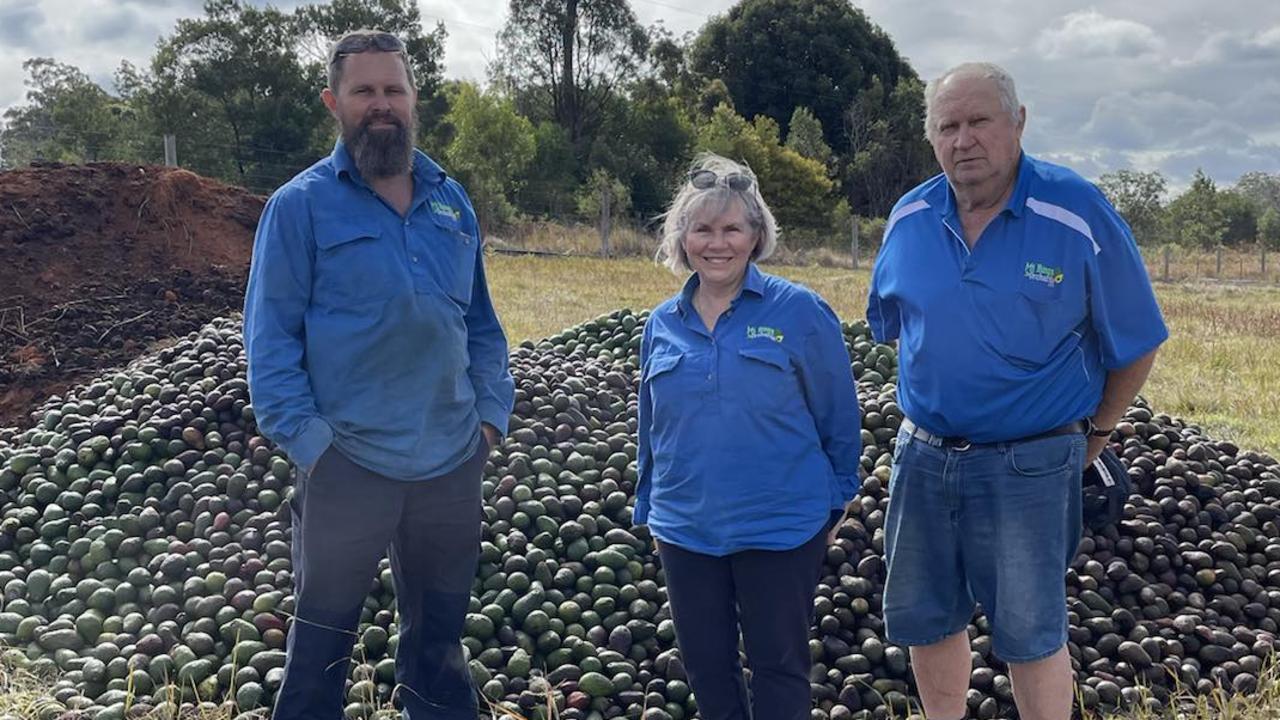 An avocado farmer has shared the heartbreaking loss of 35,000 avocados after they became spoiled, crushing his hopes of using them for oil production. Pictured: James, Michelle and Barry Trousdell.