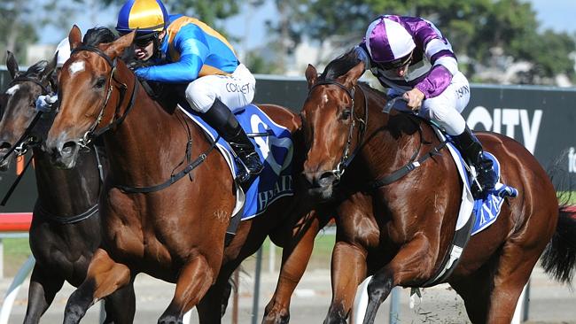 Imposing Lass (middle) proves too strong for Self Esteem (right) in the Gold Coast Bracelet. Picture: Grant Peters, Trackside Photography