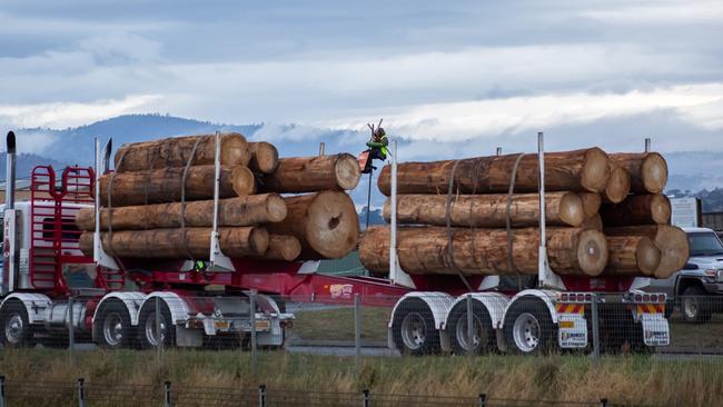 As the Bob Brown Foundation's protest at McKay sawmill in Brighton, eight 'Forest Defenders' were arrested. Picture: Bob Brown Foundation