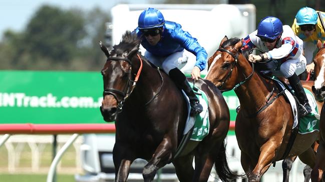 Adam Hyeronimus says there was never any doubts about Pisanello winning at Kembla Grange on Saturday. Picture: Jeremy Ng/Getty Images