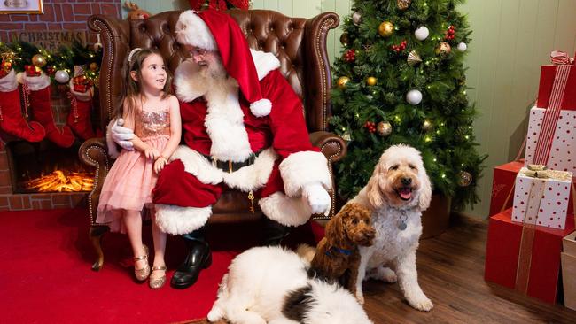 Orion Springfield is just one spot in Brisbane where you can bring your pooch for a photo. Picture: Facebook