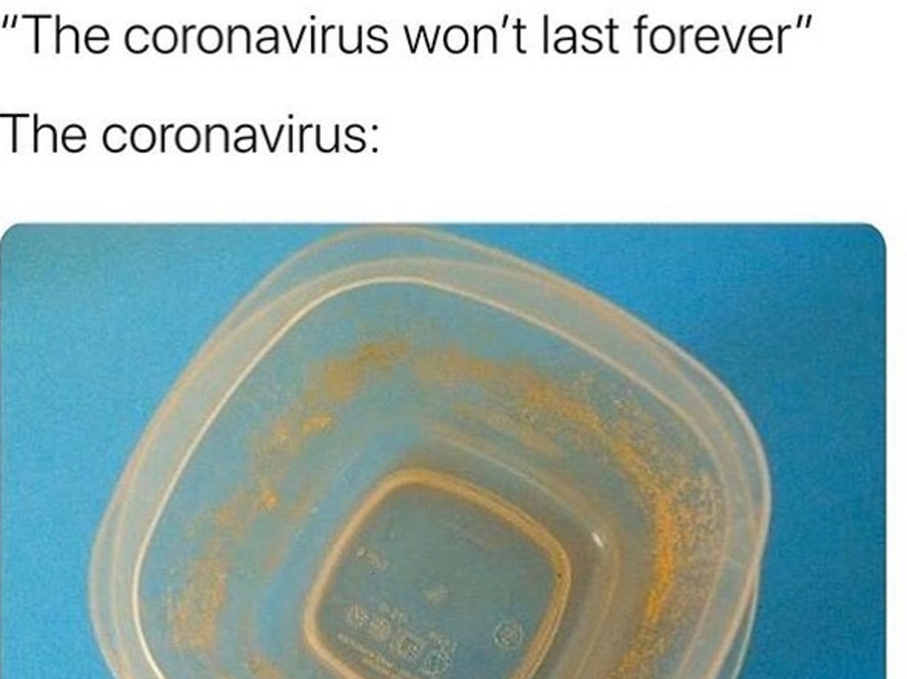 Memes coronavirus: Best COVID-19 memes from Instagram and Twitter | The ...