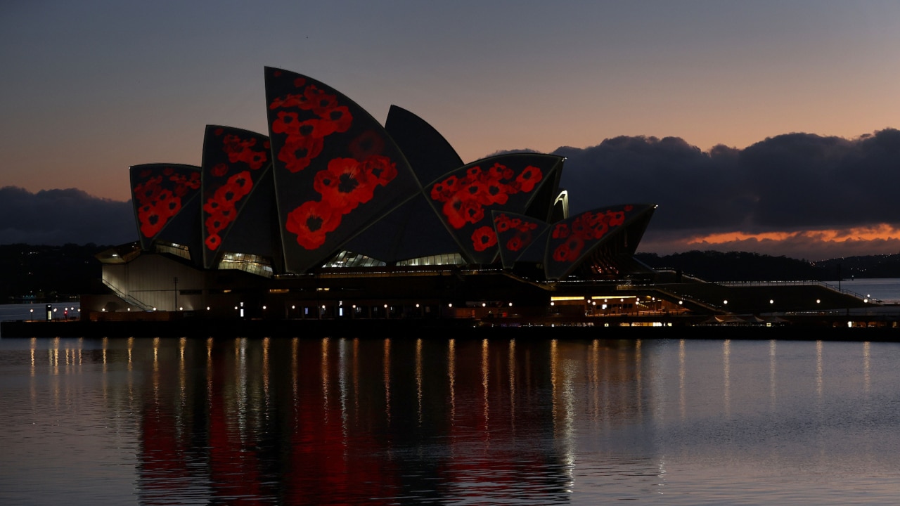 Remembrance day activities for early years