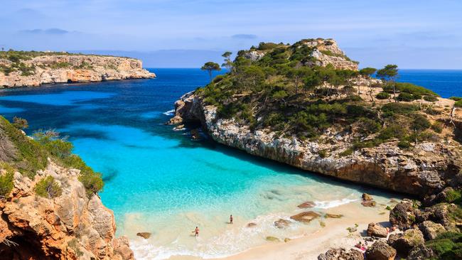 A blue shark caused panic among swimmers when it appeared in the shallows of a Majorca beach in Spain.