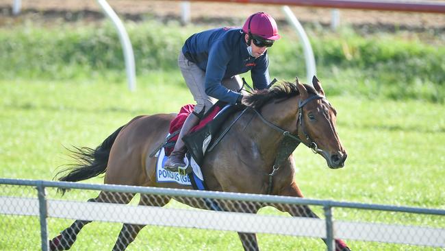 Pondus will be hard to beat in the Queen Elizabeth Stakes. Picture: Getty Images